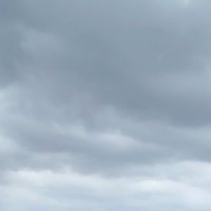 Meet your Posher, Marie